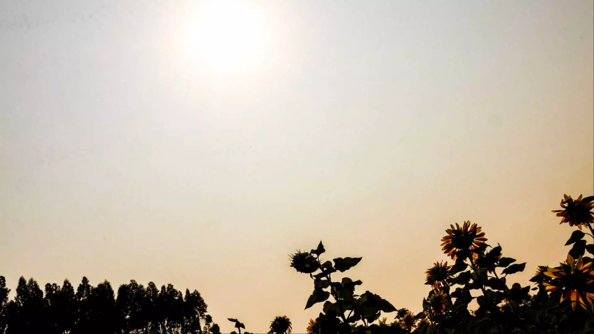 Com calorão de volta, MS terá chance de chuva e máxima de 34°C nesta segunda-feira