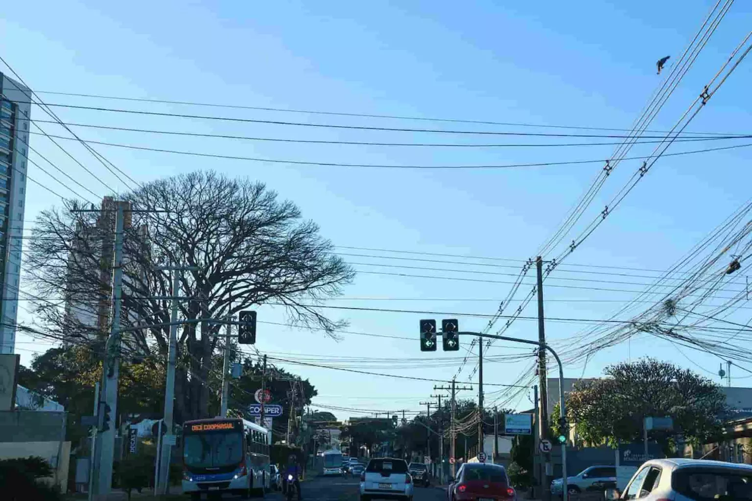 Calor, chuva e tempo seco: saiba como será o fim de semana em Campo Grande