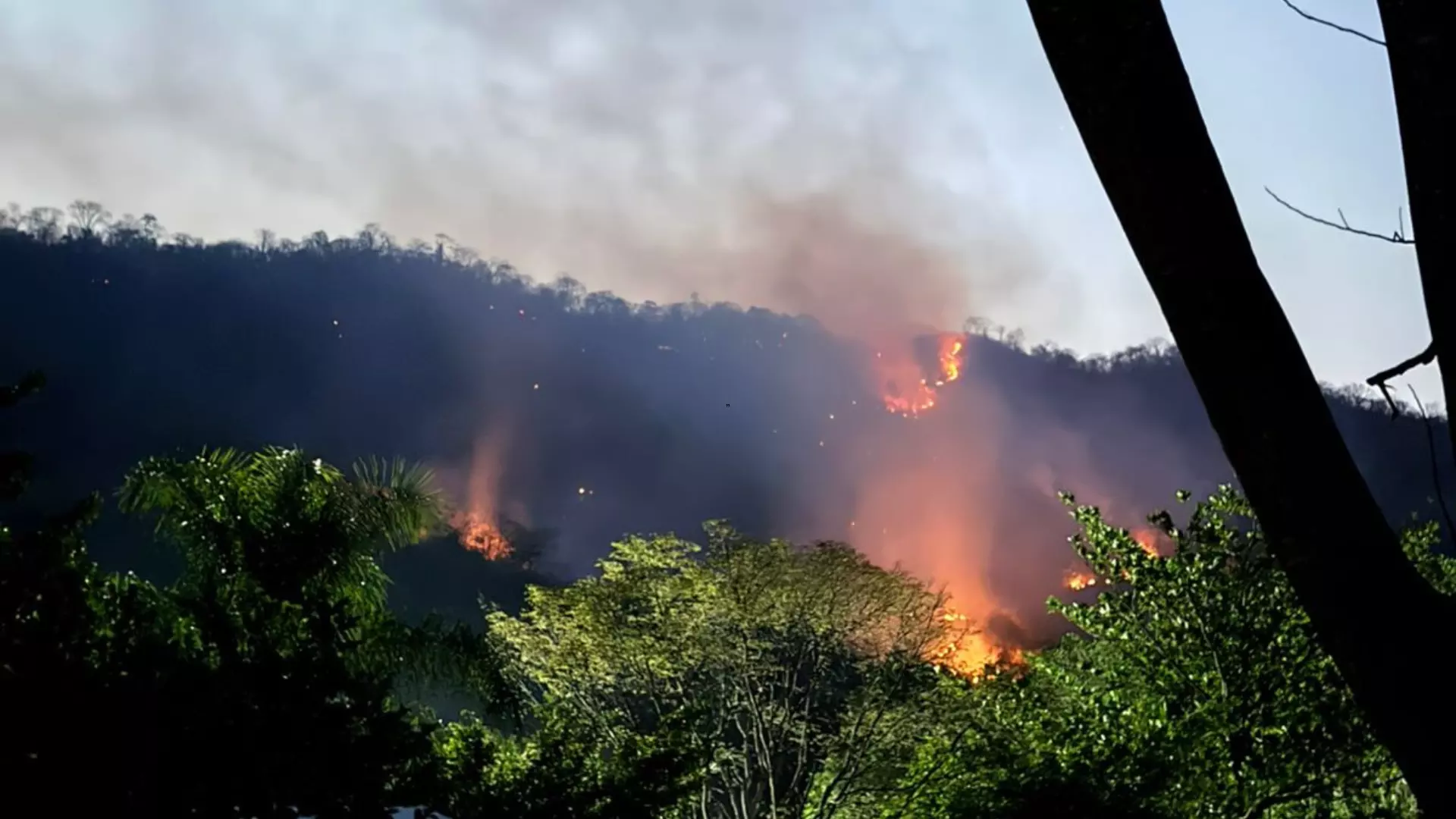 Governo decreta emergência ambiental em MS para enfrentar temporada de incêndios até novembro