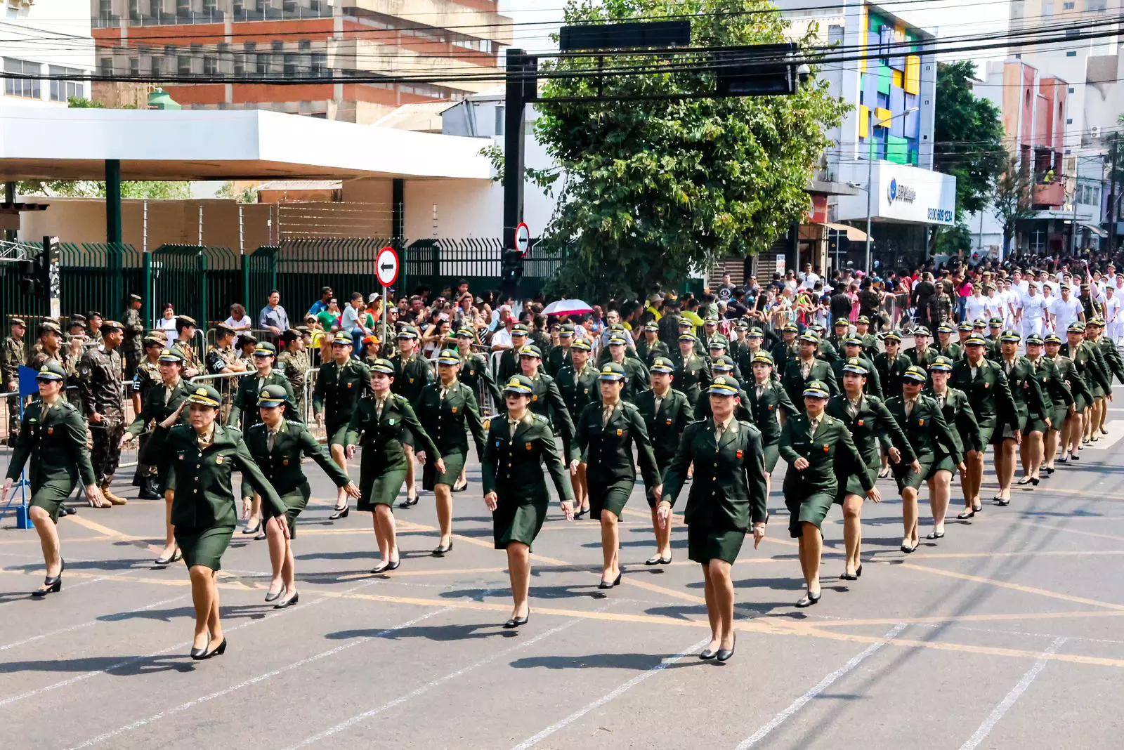 Vai assistir o Desfile da Independência? Programação terá mais de duas horas em Campo Grande