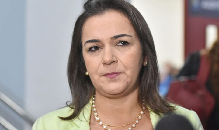Adriane quer mudar lei de 93 para perdoar milionários e punir quem paga em dia