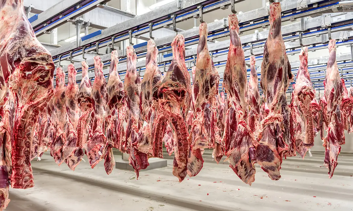 Brasil passa a fornecer carne para países que exportam ao mercado dos EUA