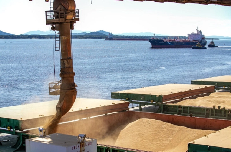 Exportações de MS crescem 12,5% e superam US$ 9,2 bilhões em 2026